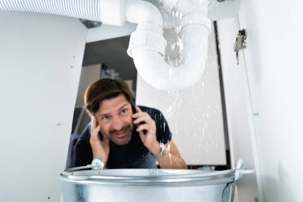 Best Clogged Drain Plumber  in Mason City, IL